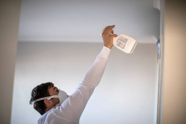 Best Water Damage Restoration  in Caledonia, MS
