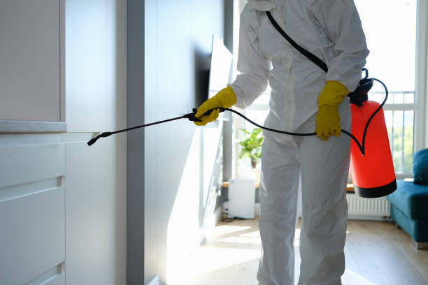 Best Black Mold Removal  in Caledonia, MS