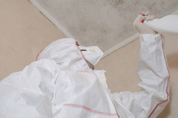 Best Local Mold Removal Service  in Caledonia, MS